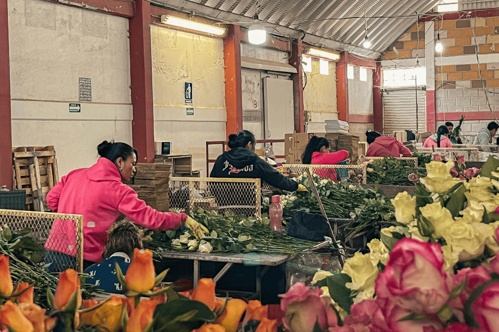 Cumpleaños decorado